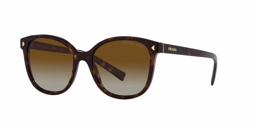 NEW PRADA women's pr 22zs square sunglasses in tortoise - gradient brown - polar